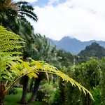 Pensjonat Casa Da Piedade São Vicente