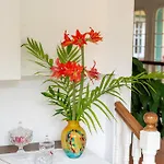 Casa Da Piedade São Vicente