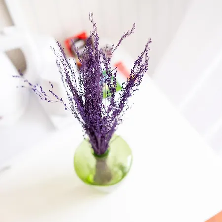 Casa Da Piedade 4* Sao Vicente (Madeira)