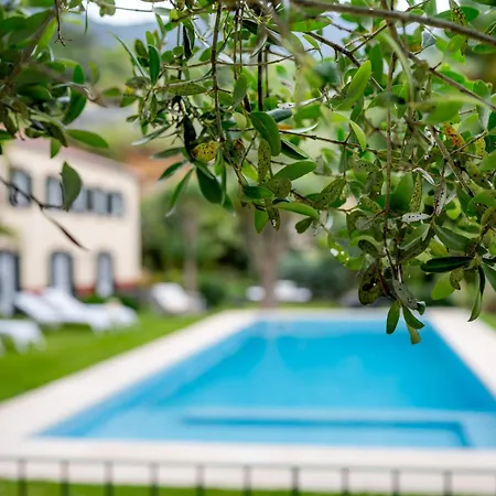 Guest house Casa Da Piedade