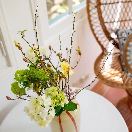 ゲストハウス Casa Da Piedade São Vicente