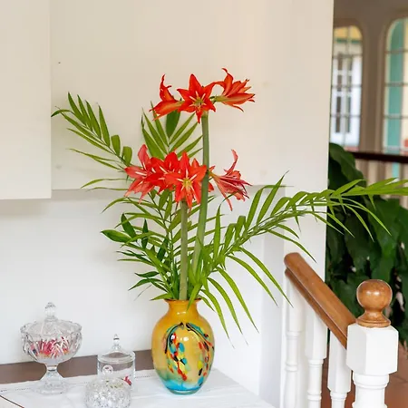 Casa Da Piedade São Vicente