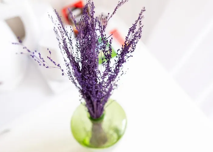 Casa Da Piedade 4* Сан-Висенти