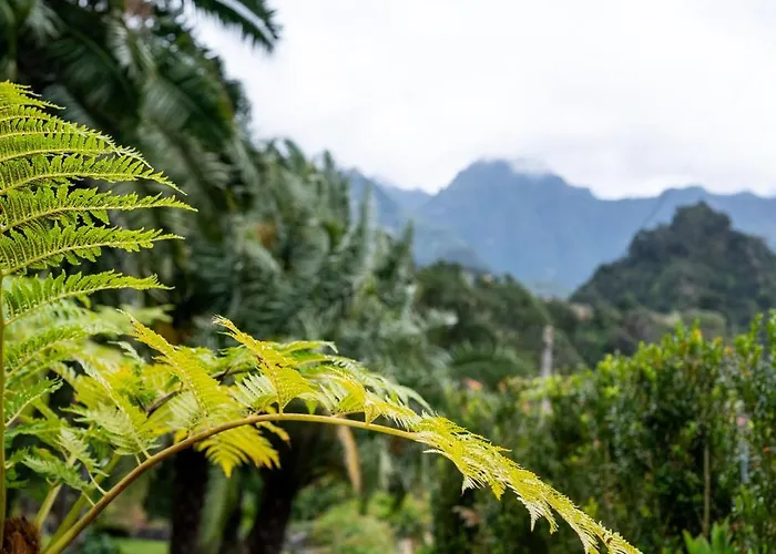 Penzion Casa Da Piedade São Vicente