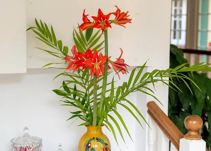 Casa Da Piedade Сан-Висенти